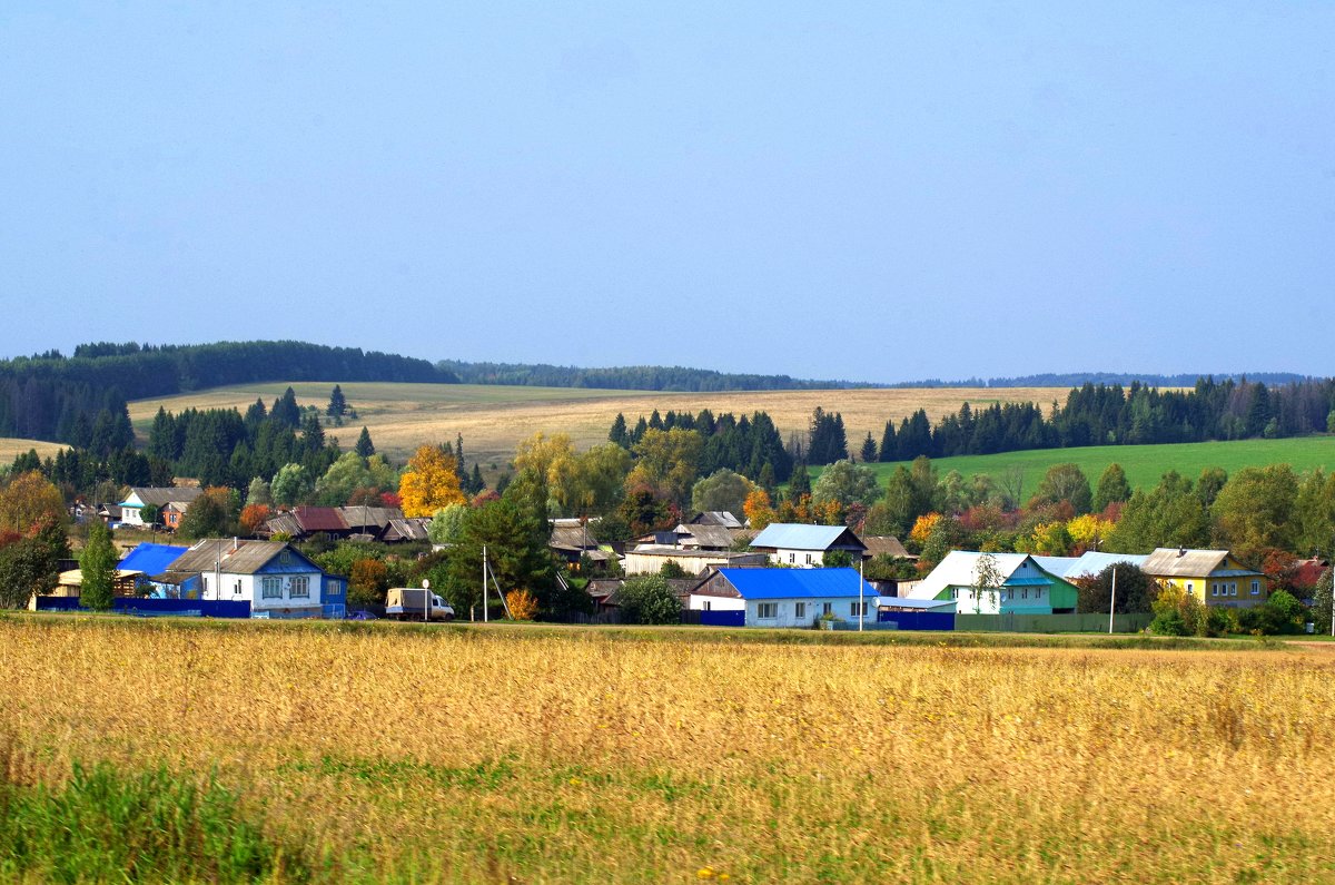Картинка.