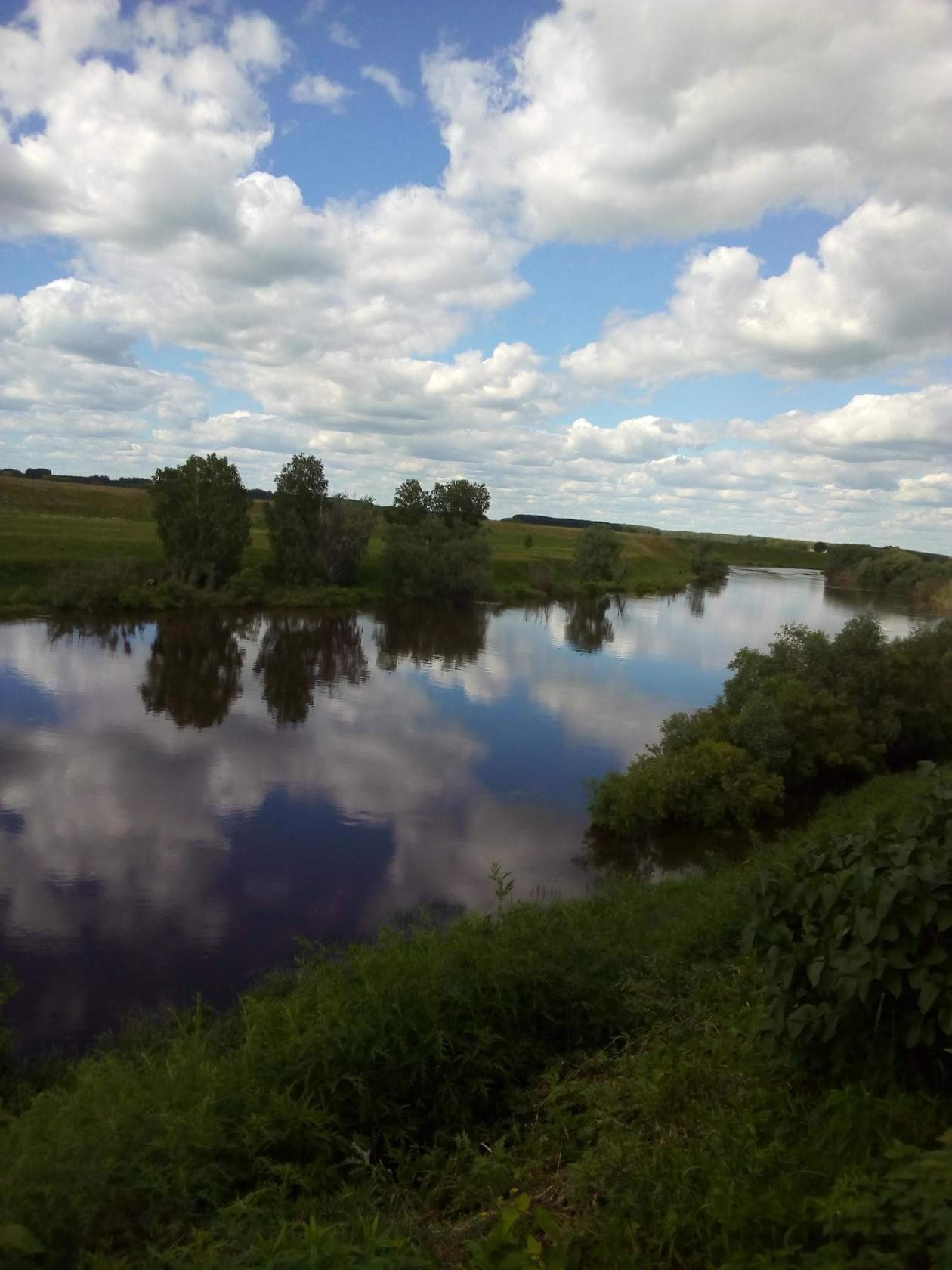 река Омь в д.Старый Ревель.