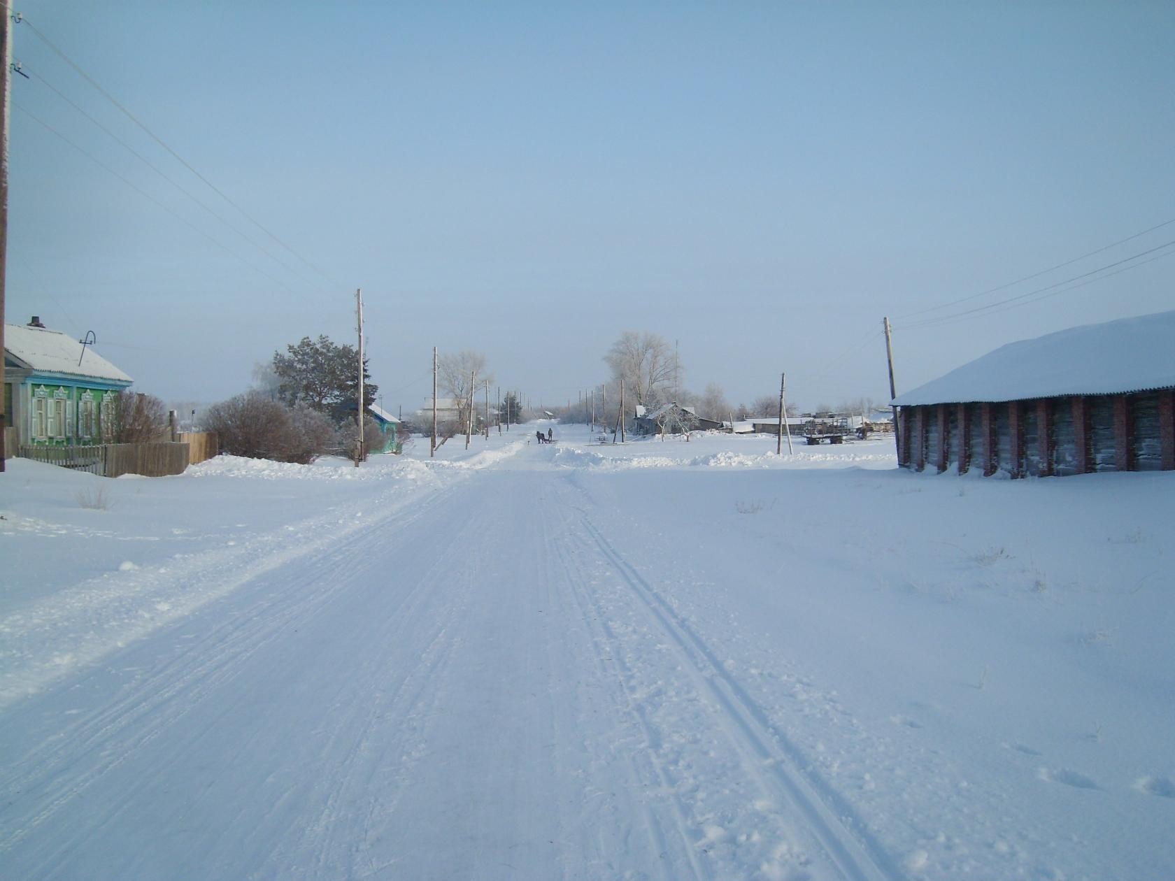 д.Старый Ревель зимой.